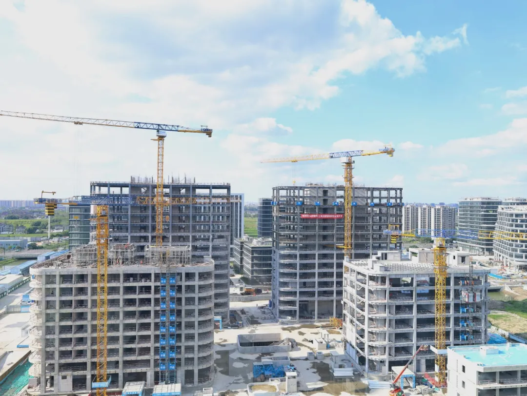 同心同向 造炬成阳 | DG视讯股份2024年第三季度动态速览 同心同向 造炬成阳 | DG视讯股份2024年第三季度动态速览