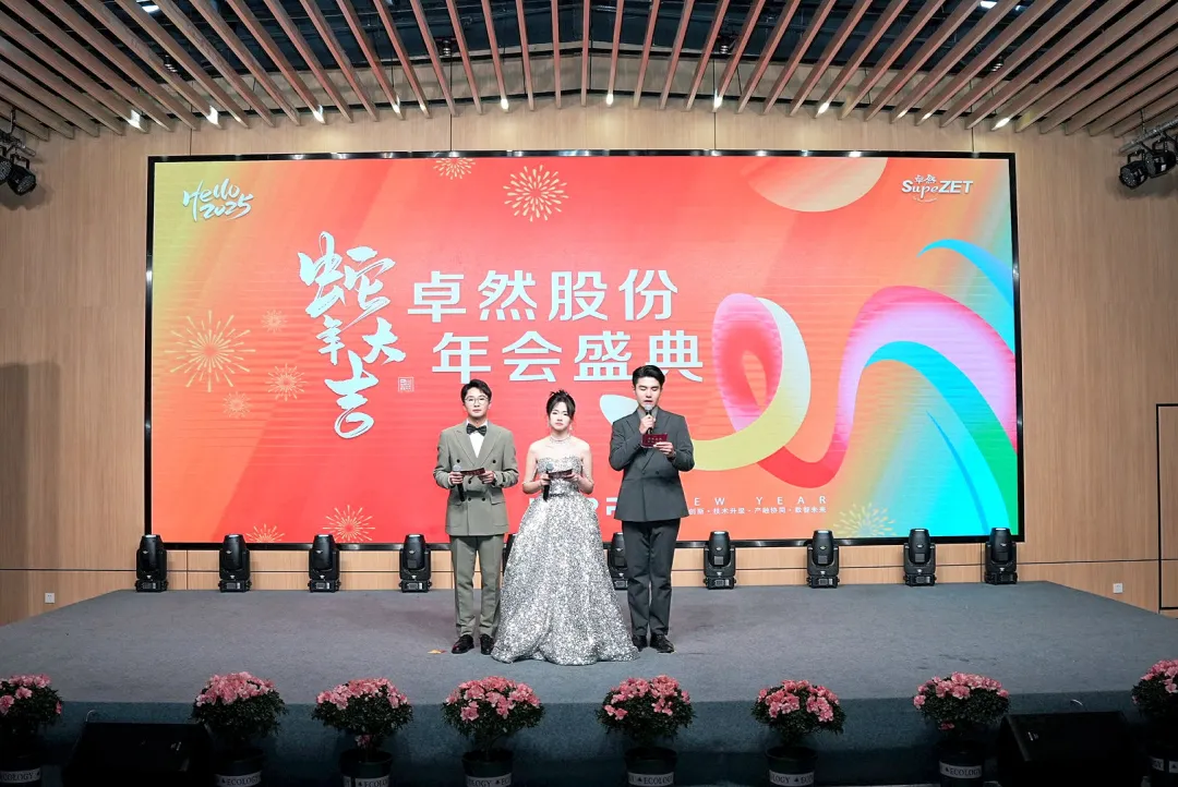 奋楫逐浪 力学笃行 | DG视讯股份2025年第一季度动态速览 奋楫逐浪 力学笃行 | DG视讯股份2025年第一季度动态速览